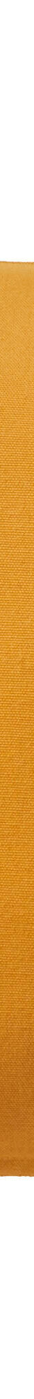Housse de coussin unie bachette - lot de 2 (miel) Housse de coussin unie bachette - lot de 2 (miel)